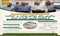 حمایت از صنایع بزرگ پروتئینی؛ گامی مؤثر برای امنیت غذایی و ثبات بازار